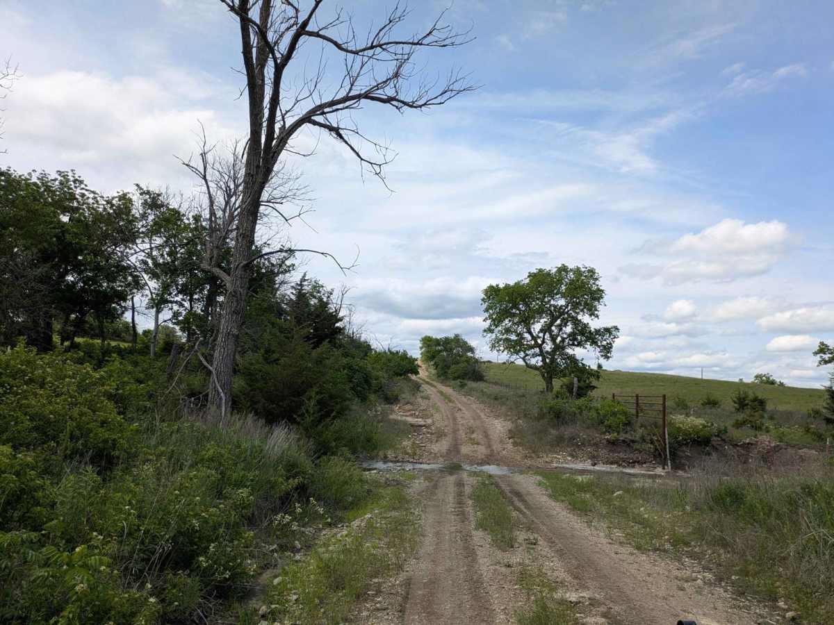 Southeast Wiedemann trail photo