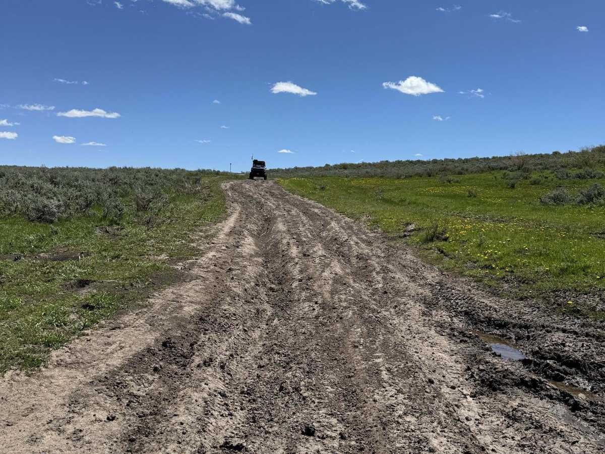 June Creek Trail photo 4
