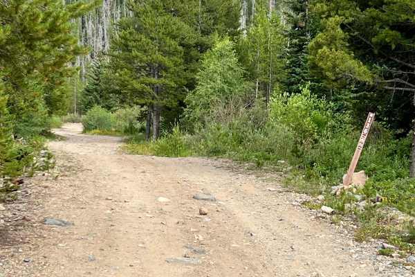 Lake Evelyn Road - FS 136