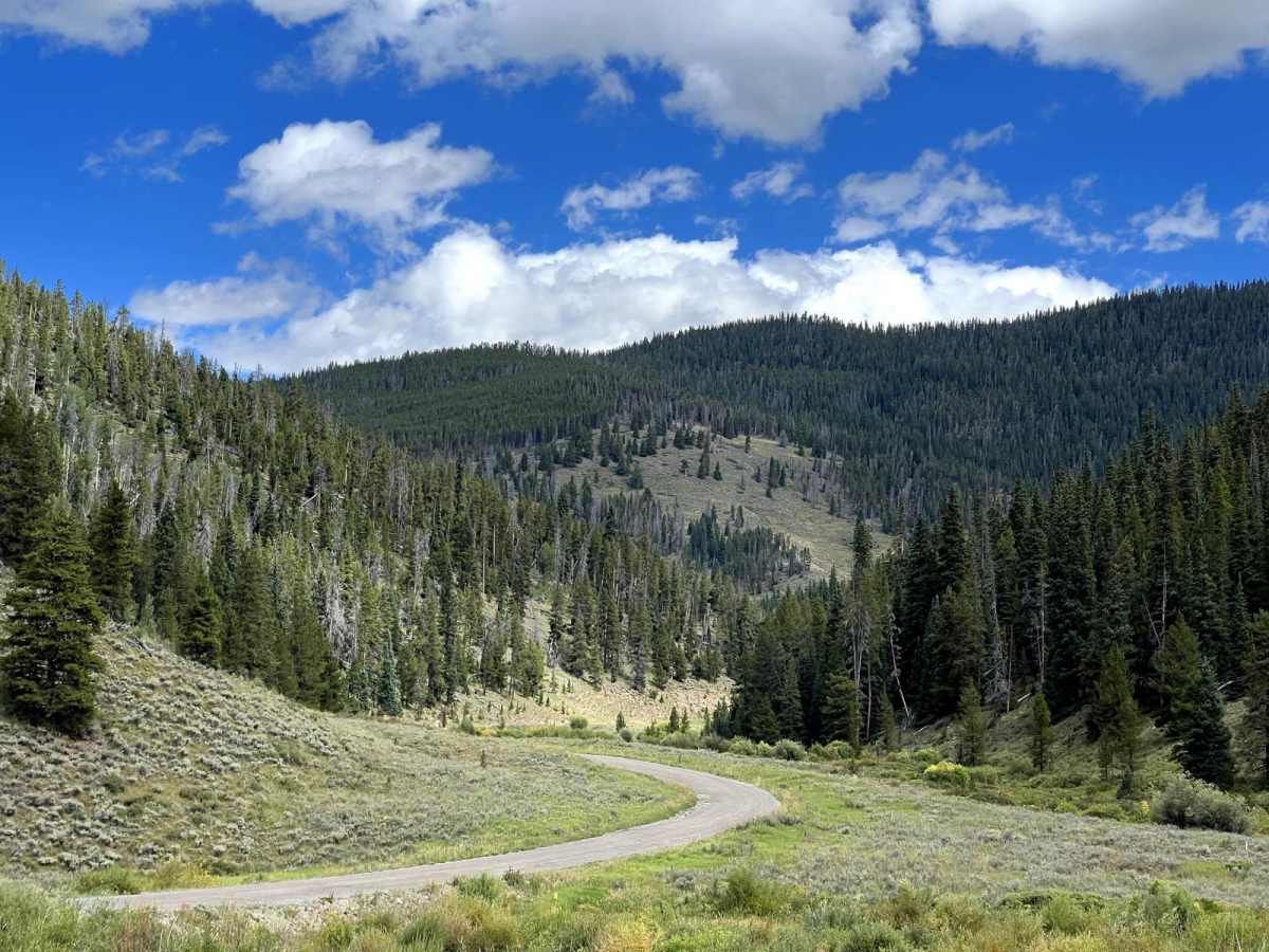 Tiger Road to Greenhorn Gulch trail photo