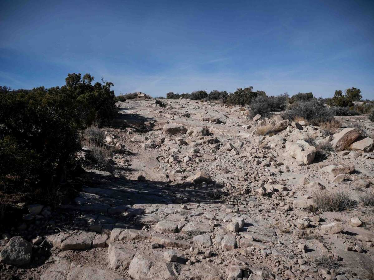 Odds West Access Trail photo 3