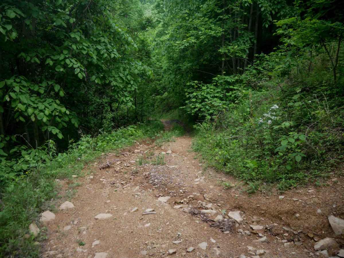 MV56 photo 4