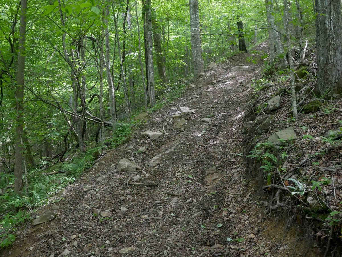MV59 trail photo