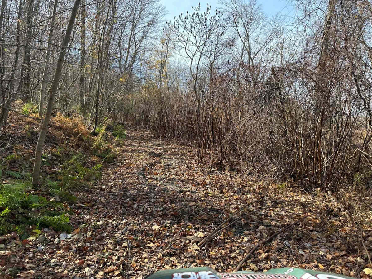 Ashland 164 trail photo