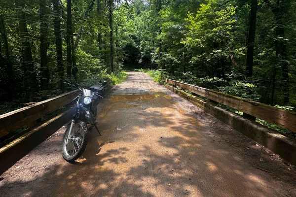 Nimblewill Branch 1