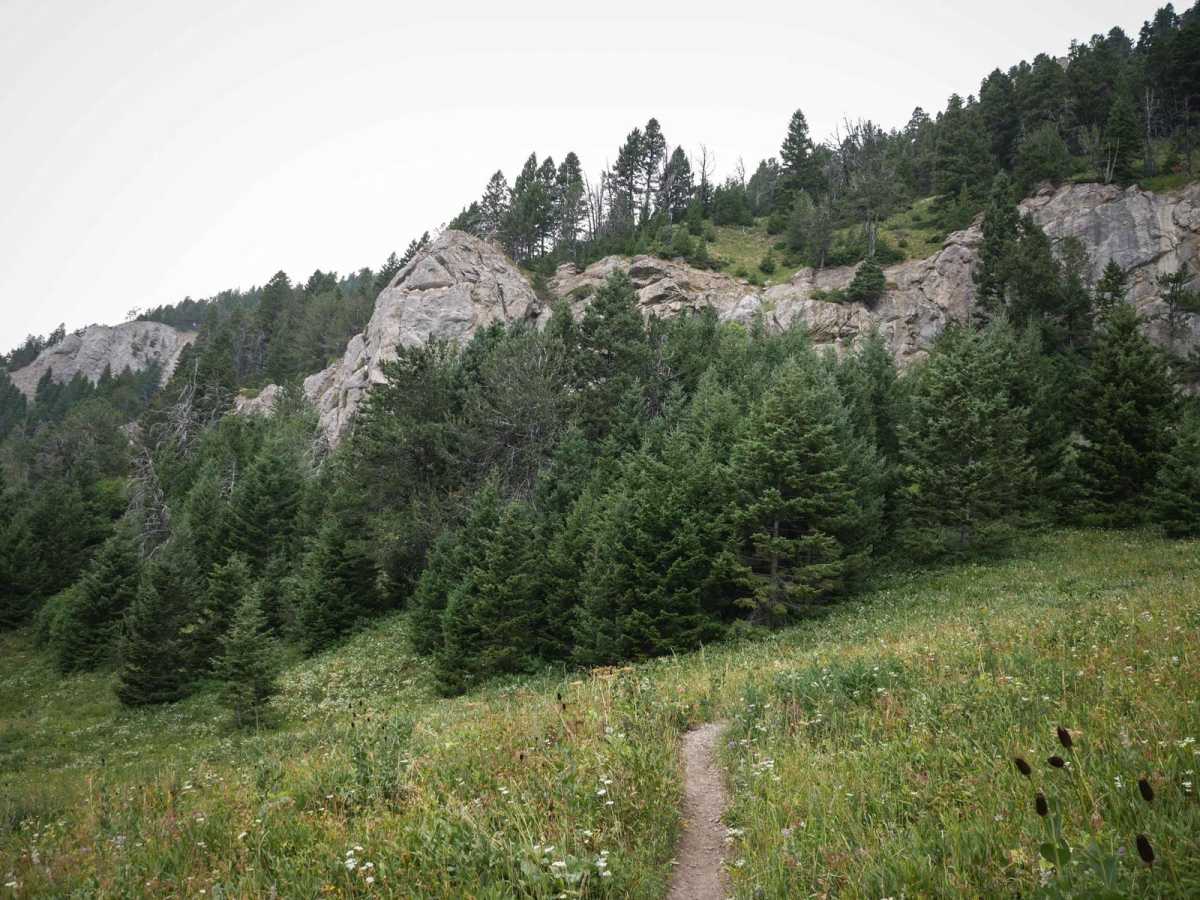 Bridger Mountains photo 4