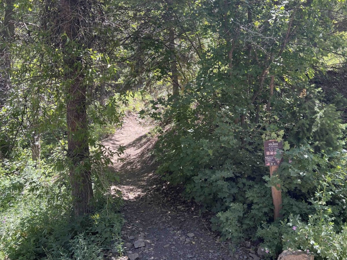 Holman (2039) photo 4