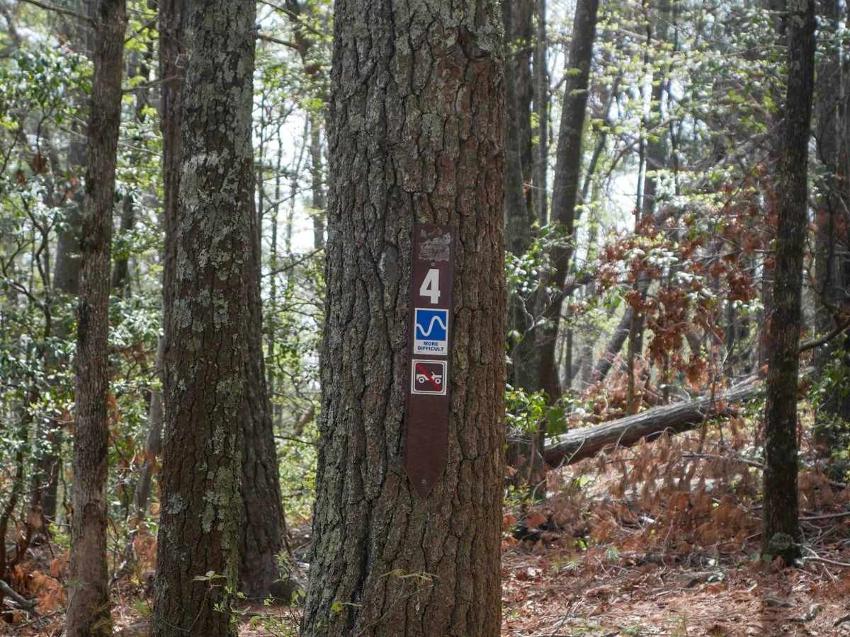 Trail 4 Kirby's Loop photo 6