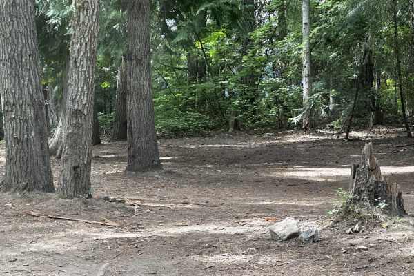Deer Camp Trail