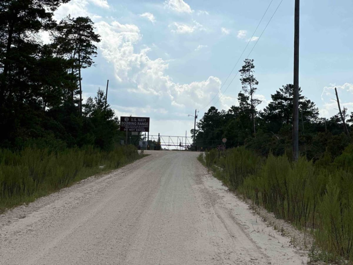 Volusia Trail - ONF 22 photo 6