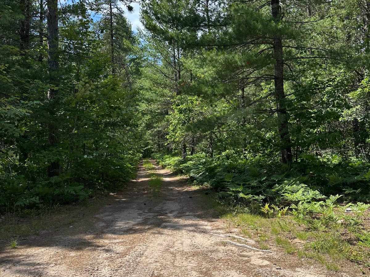 County Road 421 North Spur  trail photo