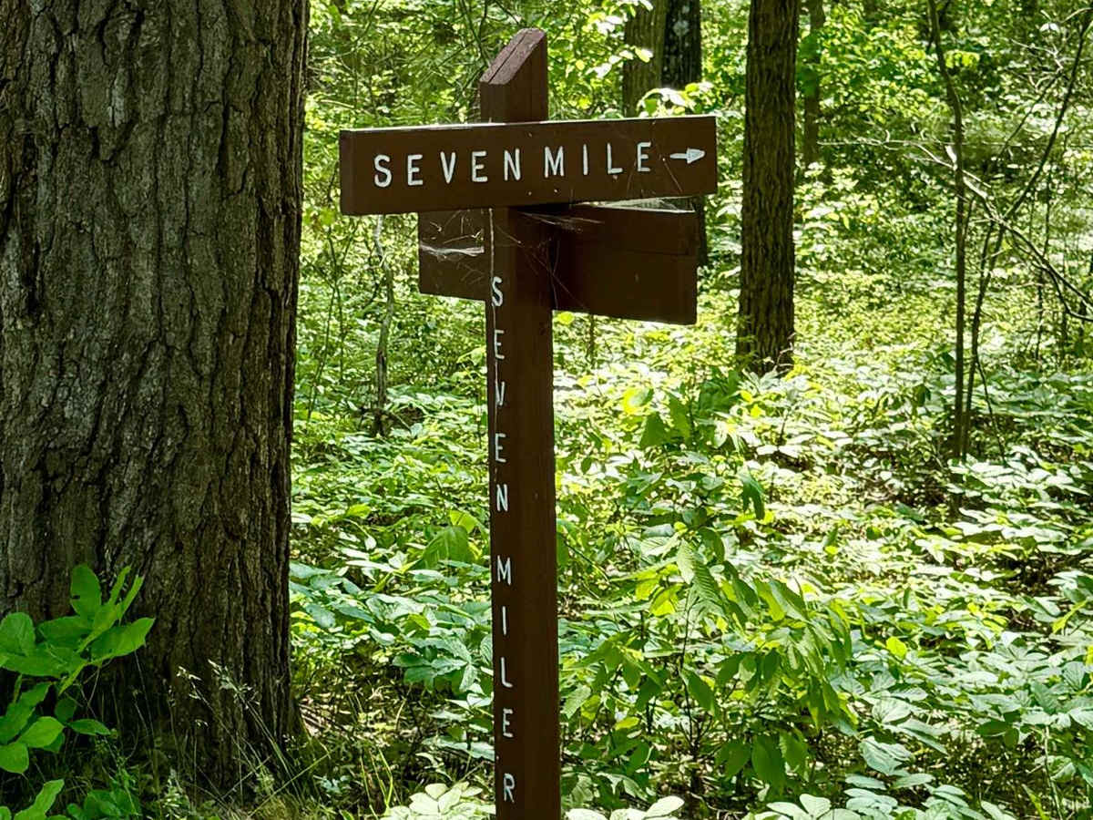 Seven Mile Road trail photo