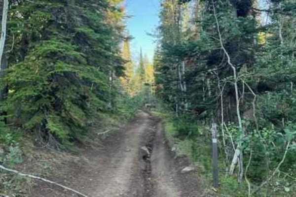 Buttar Springs Trail 7922