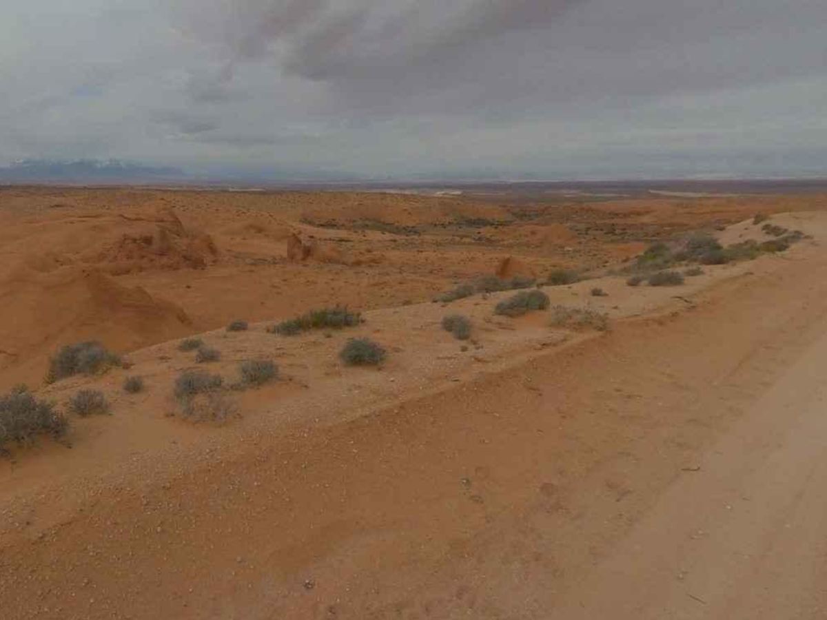 Oil Well Road photo 3