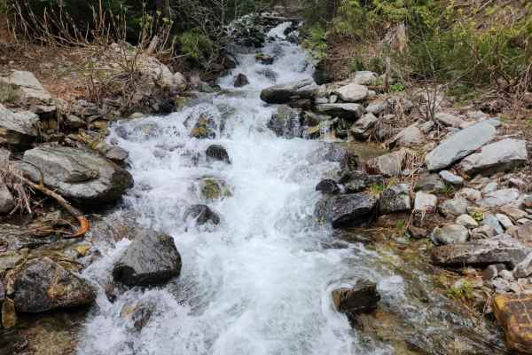 South Fork Bull River