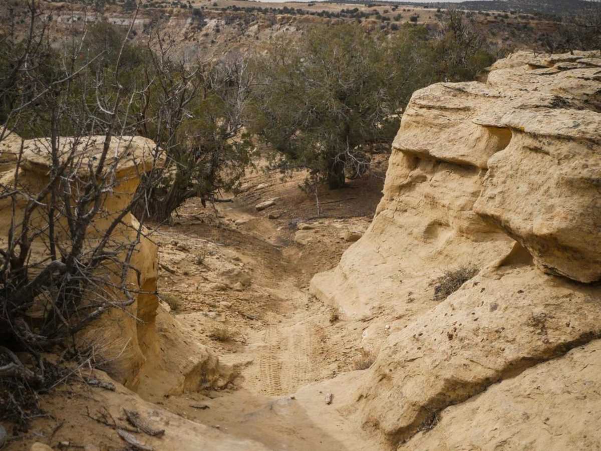Westwater Mesa Loop Trail photo 4