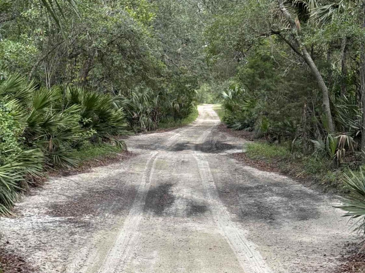 Sweet Springs - ONF 77 photo 5