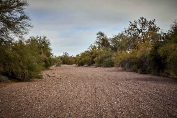 Central Red Raven Wash