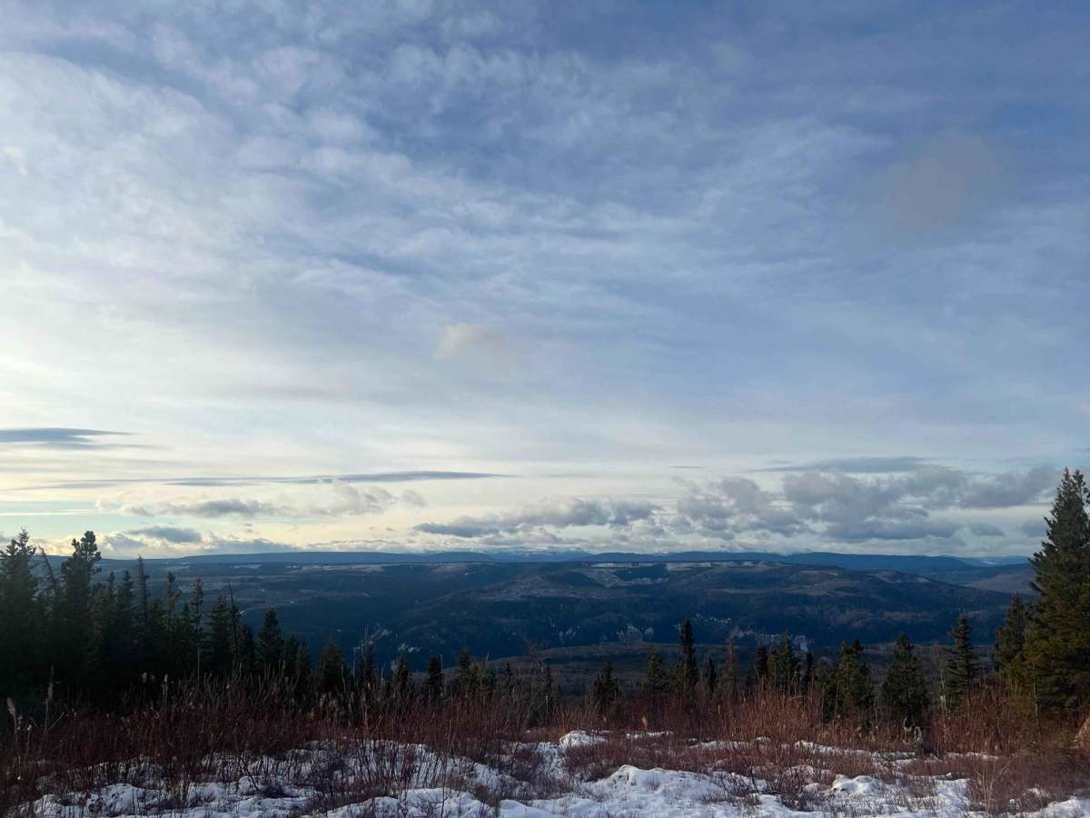 Puggins Mountain Fire Lookout Tower photo 6