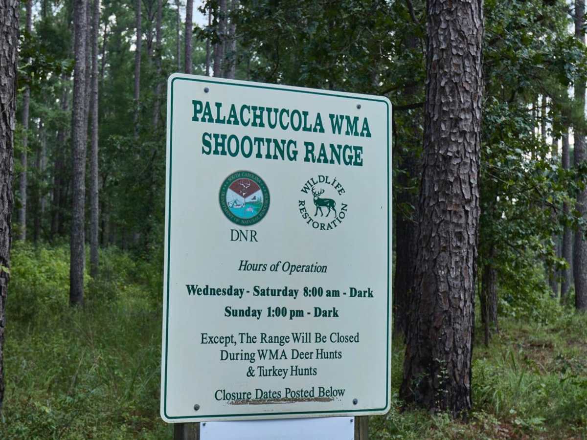 Turkey Road - Shooting Range Access photo 4