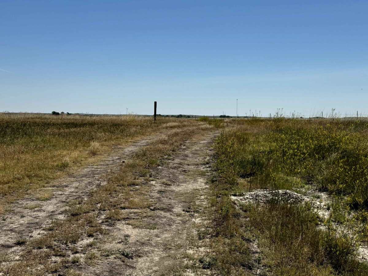 Buffalo Gap Nat Grassland North photo 6
