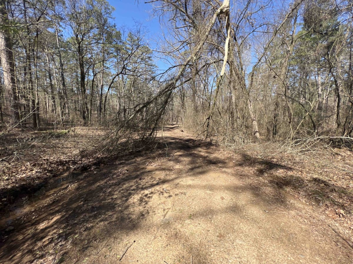 Boose Hollow 649 photo 6