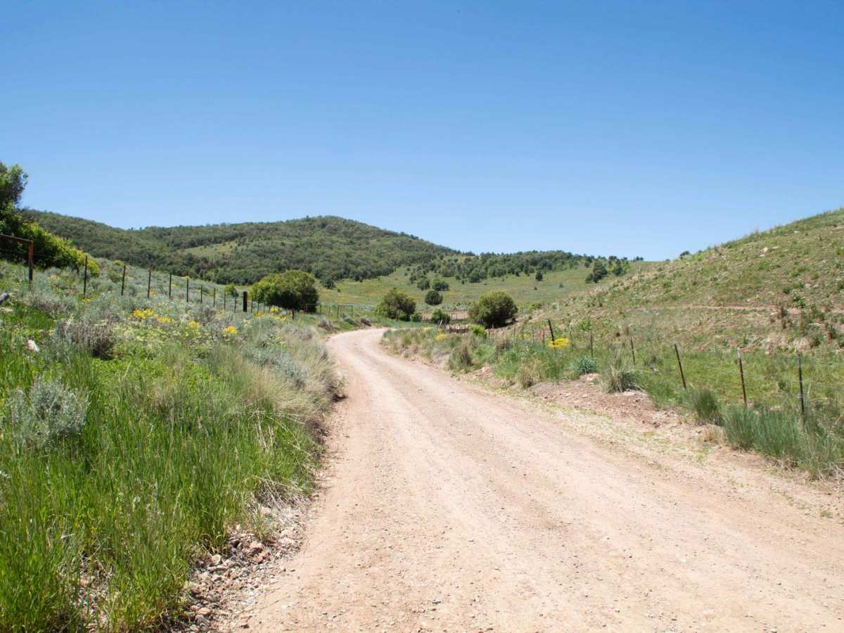 Old Canyon Road trail photo