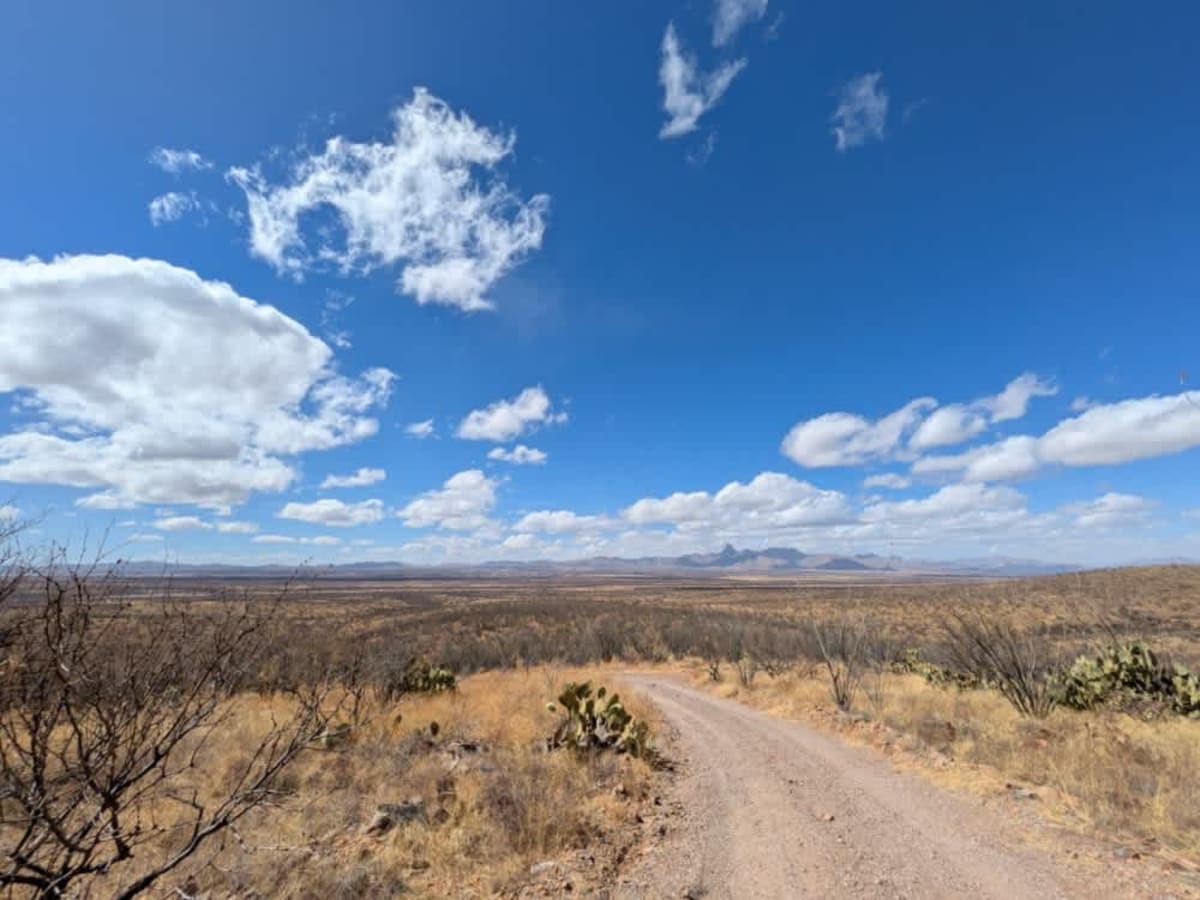FR 244 Guijas Loop South Road trail photo
