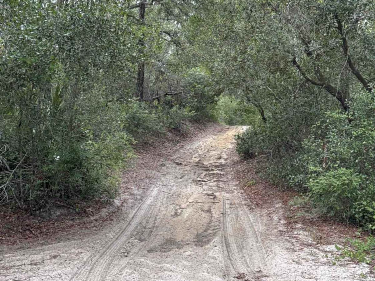 Deep Woods - ONF 42-27.6 photo 3