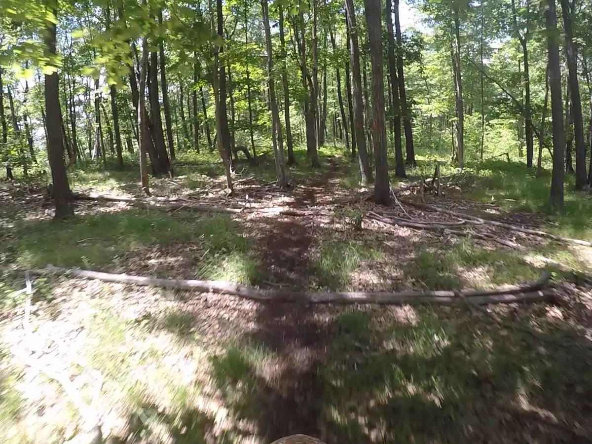 Mountain Ridge ATV Park Singletrack CD photo 5