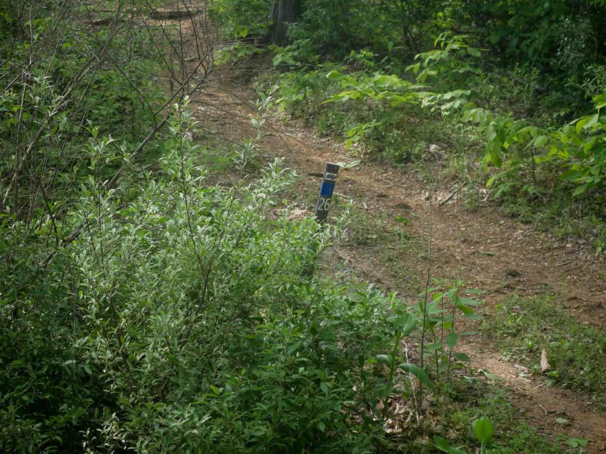 RV26 photo 2