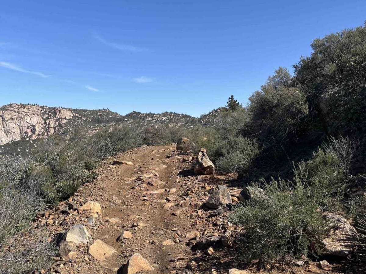 Spur Meadow photo 5