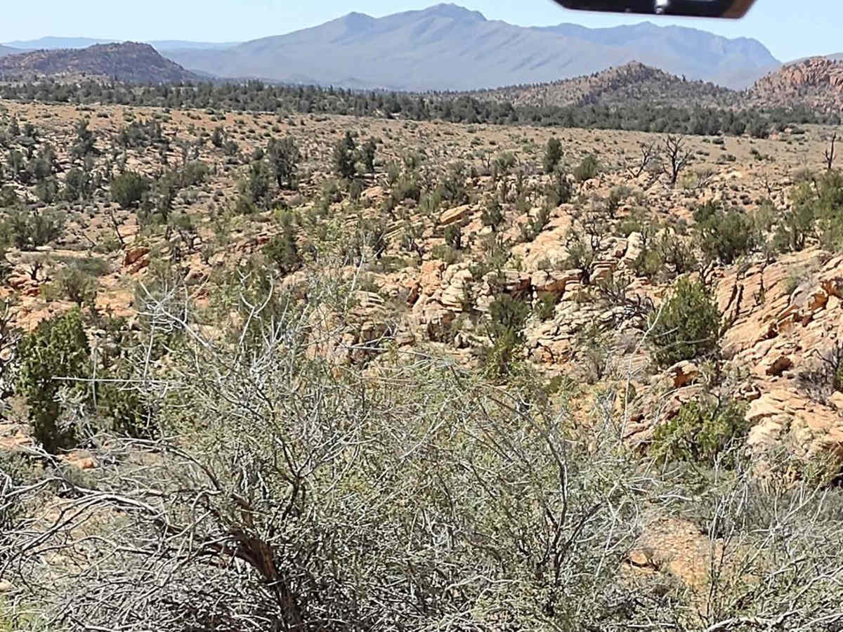 Red Canyon 2.5 photo 2