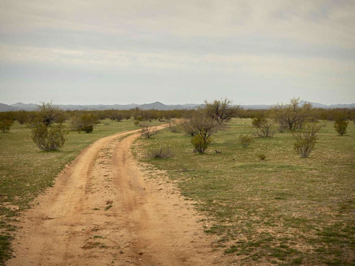 Southern Stroll photo 2
