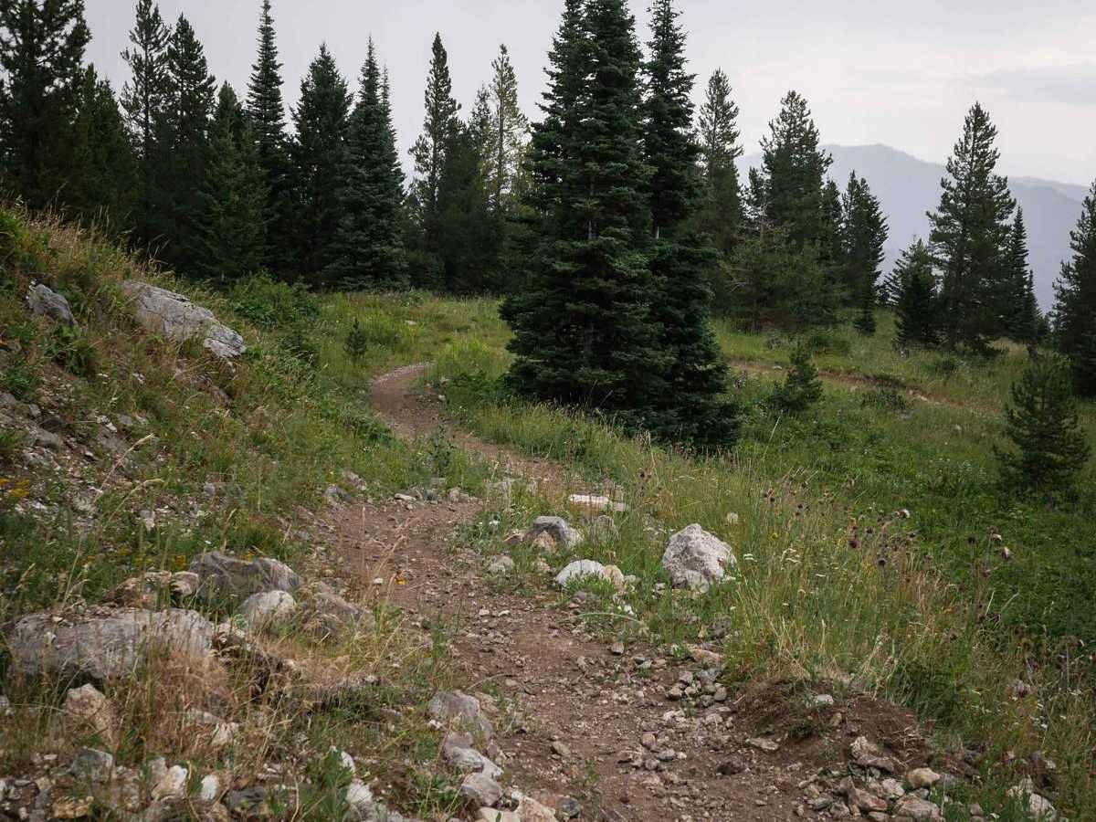 Ross Pass photo 4