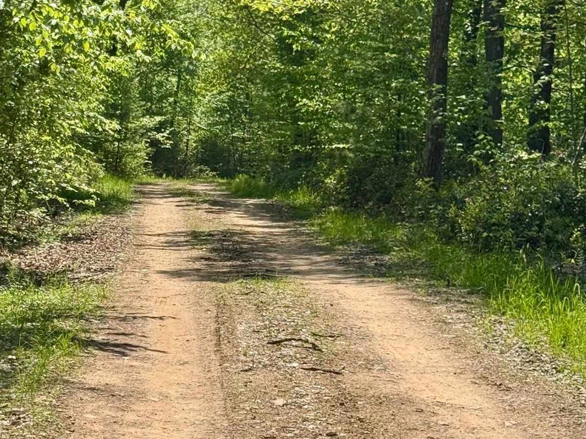 Six Mile Road photo 5