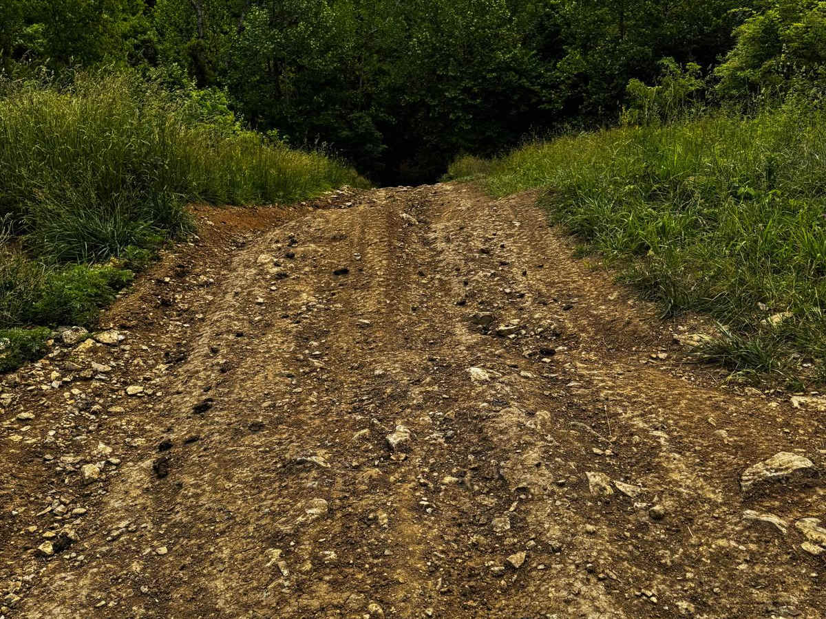 Yellow 54 trail photo