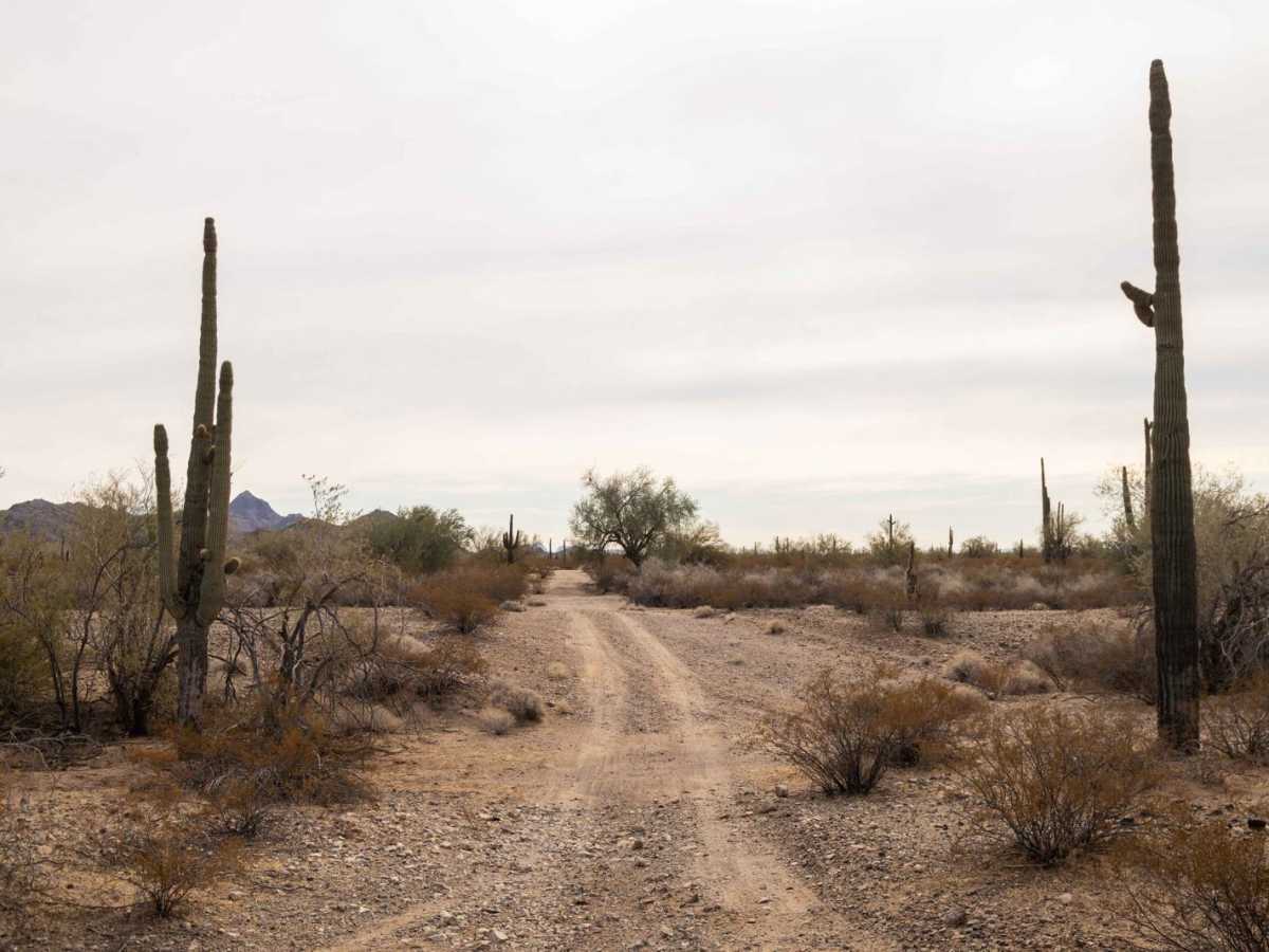 Wilderness Edge / 9356 trail photo
