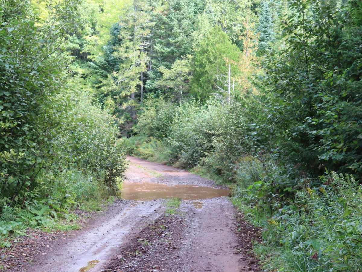 Union Creek photo 2