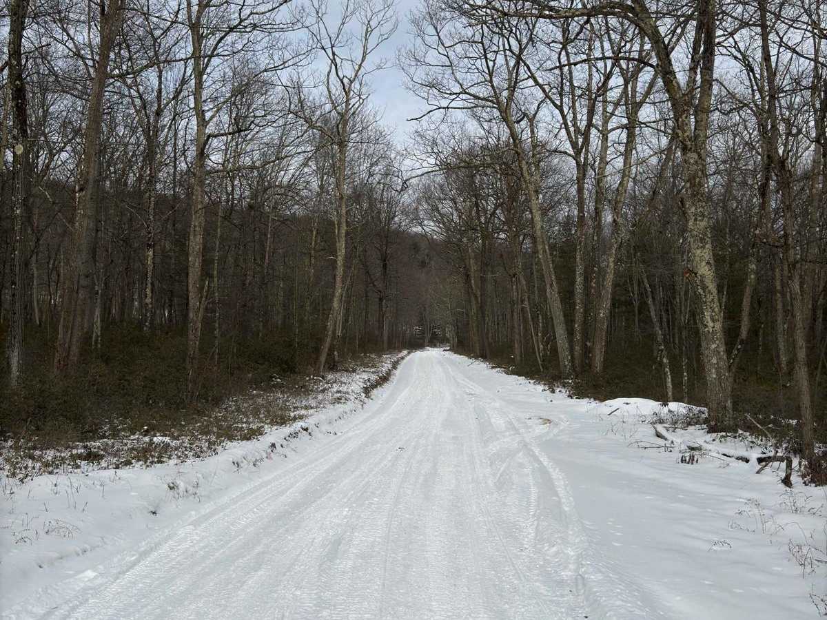 Buffalo Flat Road photo 4