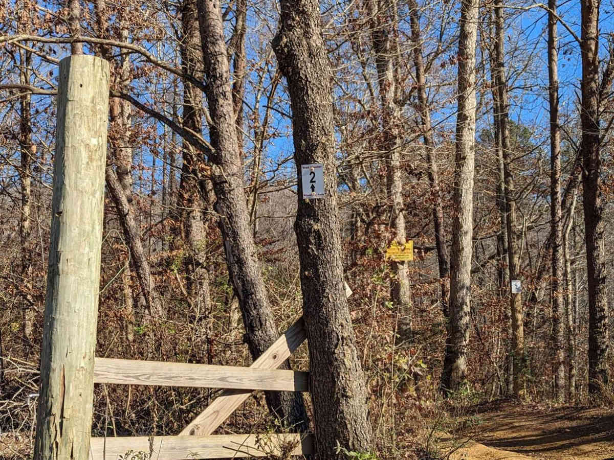 Trail 2 photo 5