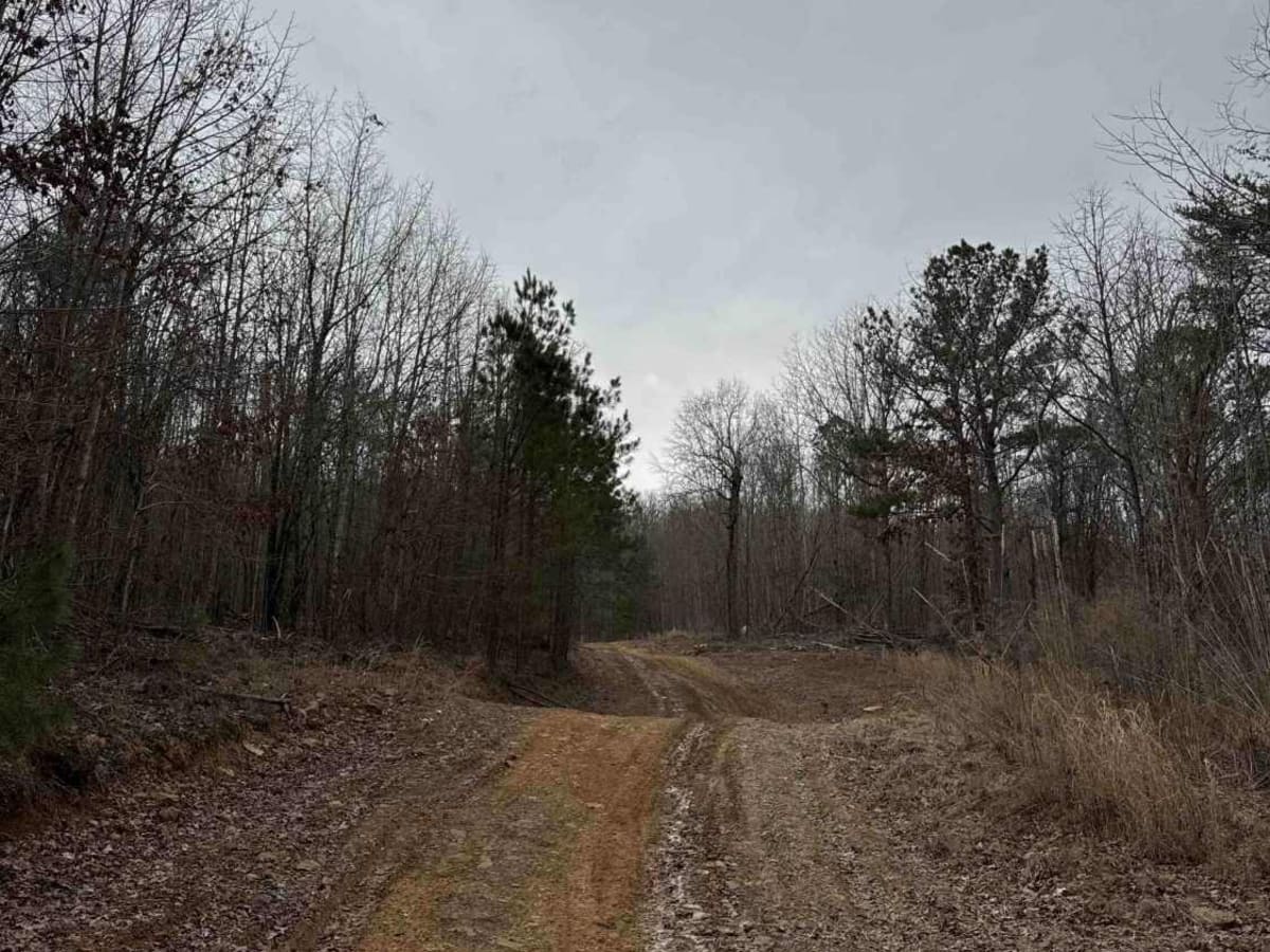 #96 Charlie's Trail photo 4