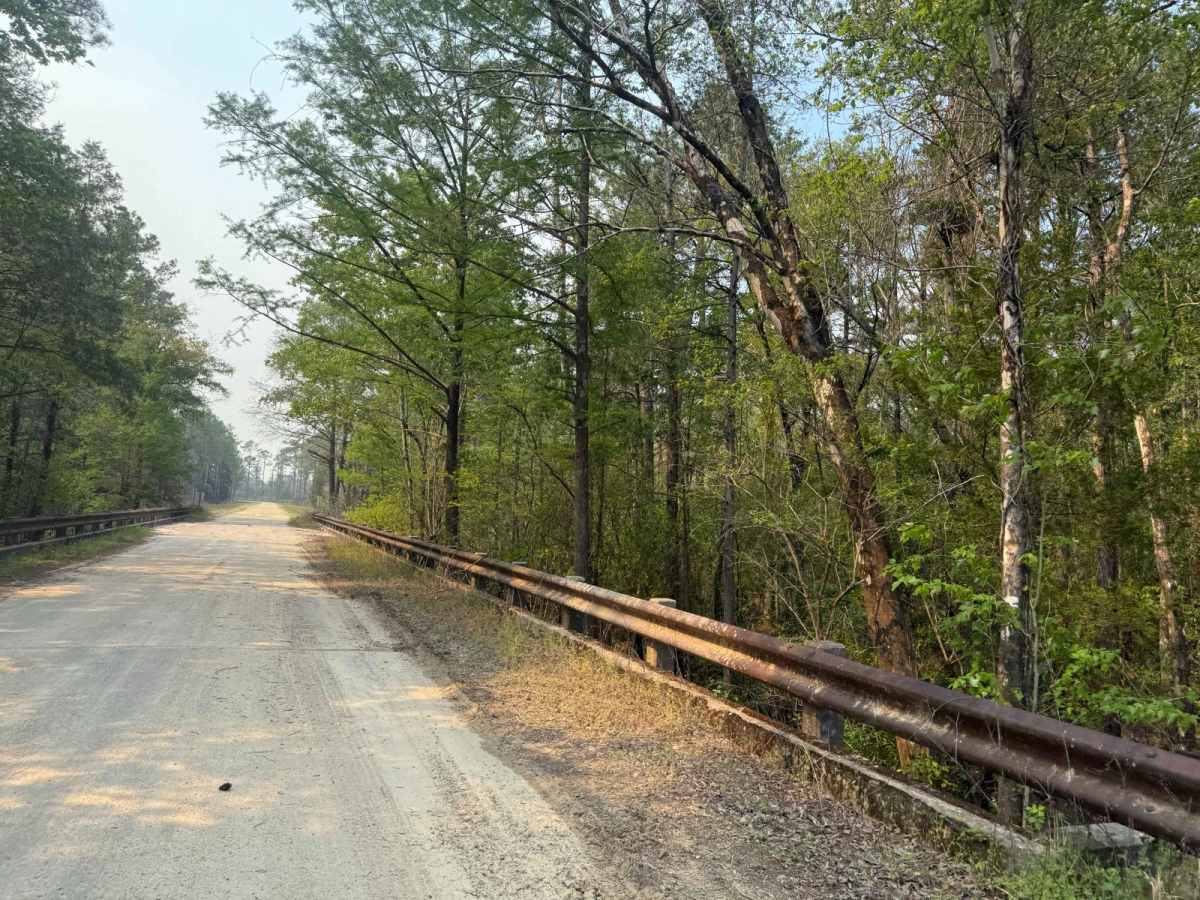Forest Highway 13 East photo 3