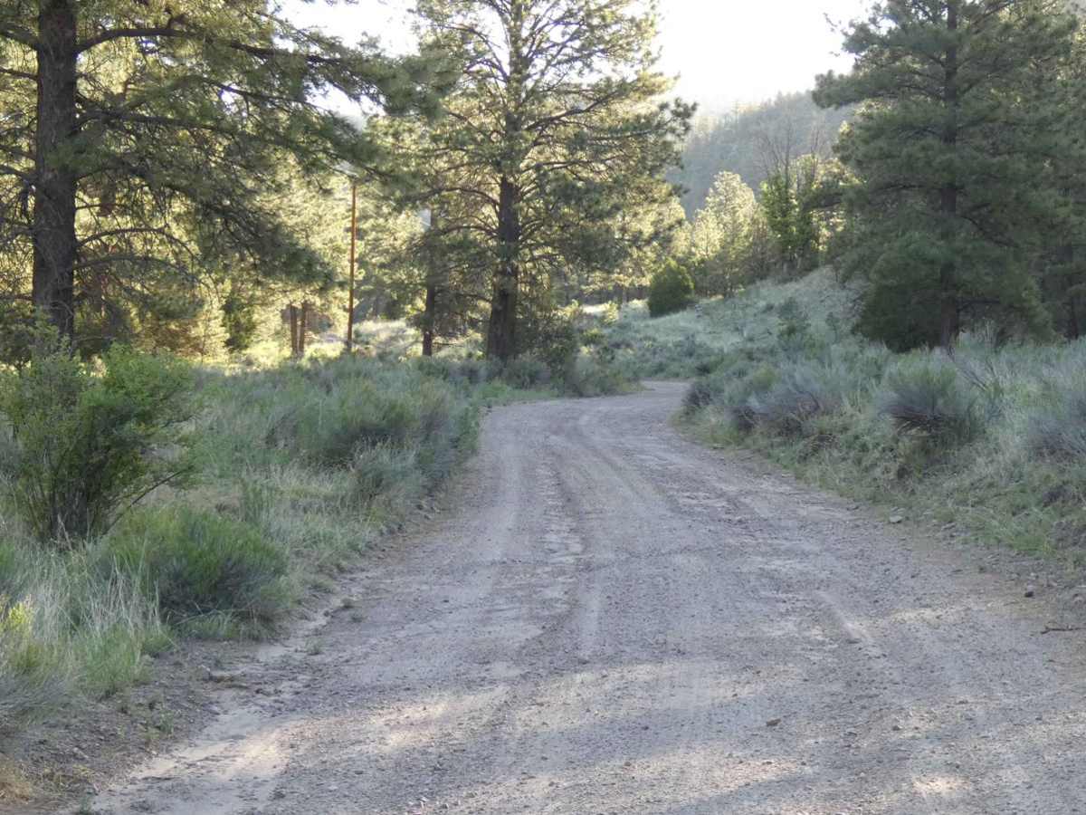 Davenport Canyon FS6 photo 3