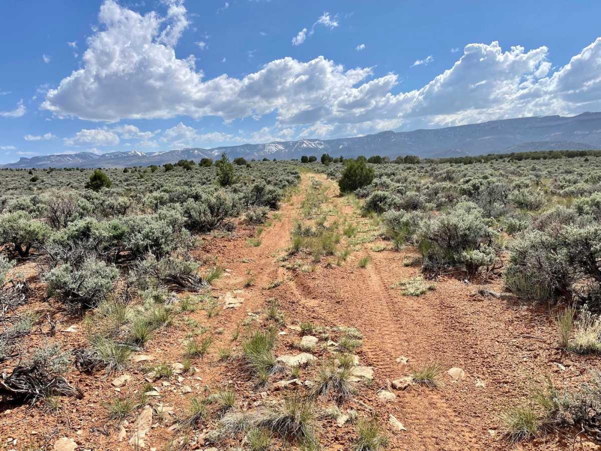 Buffalo Ranch Cutover 632a trail photo