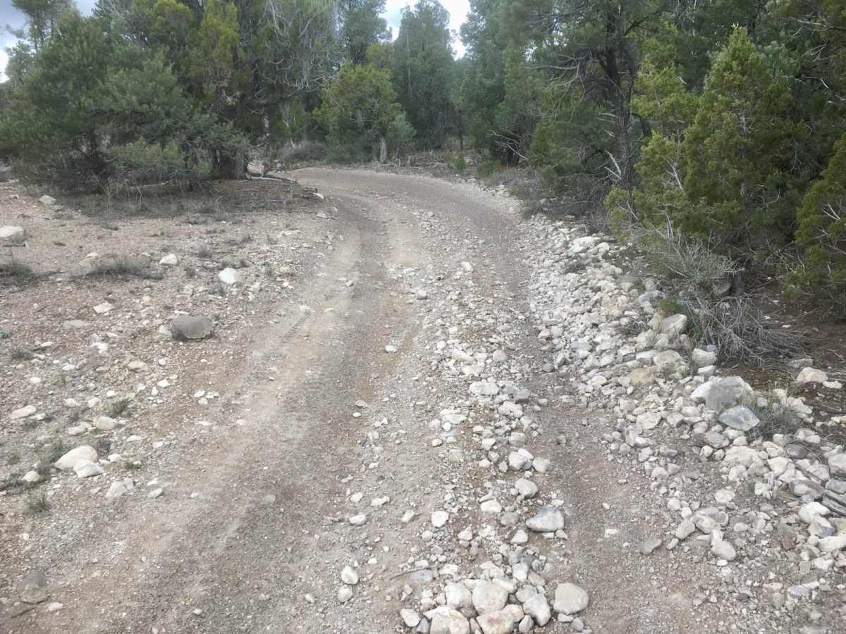 Ice Plant ATV Loop photo 6