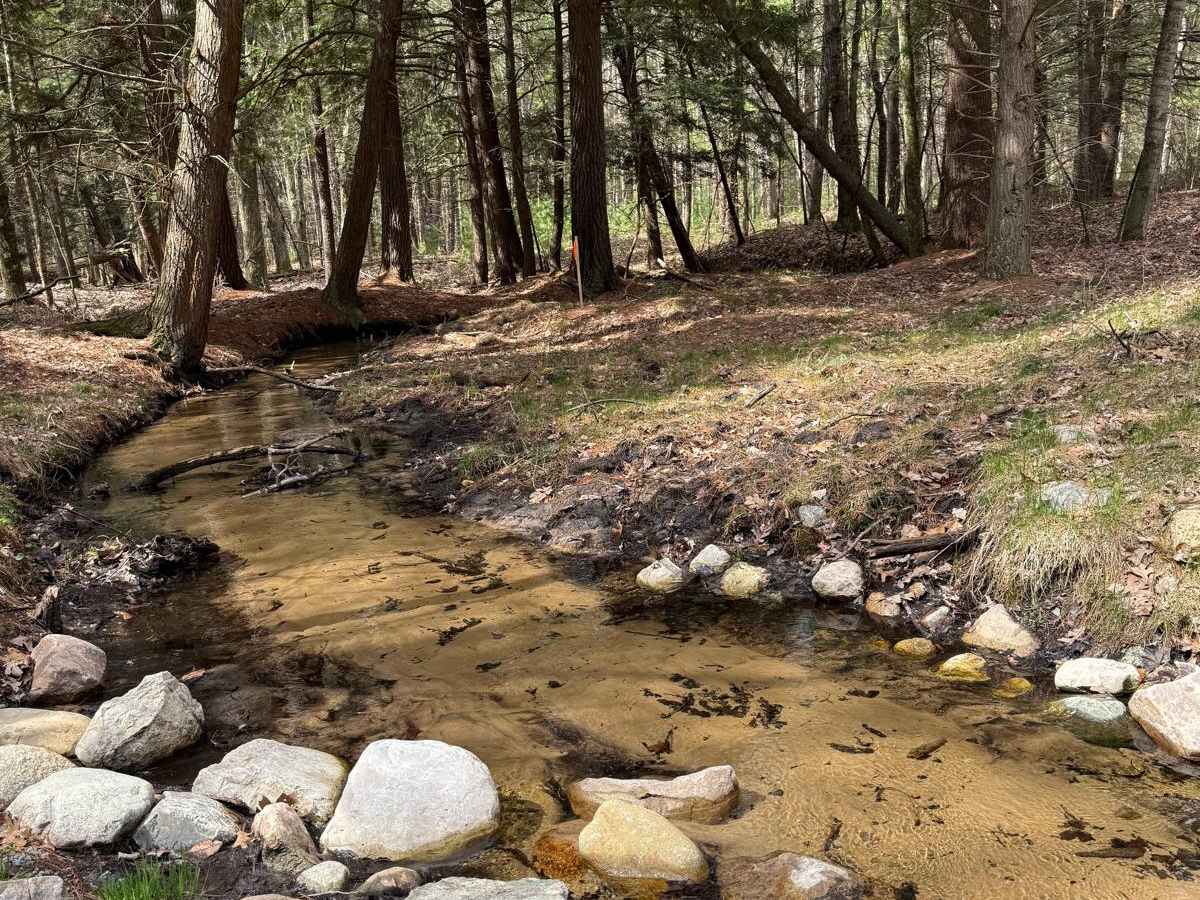 NFS 6645 trail photo