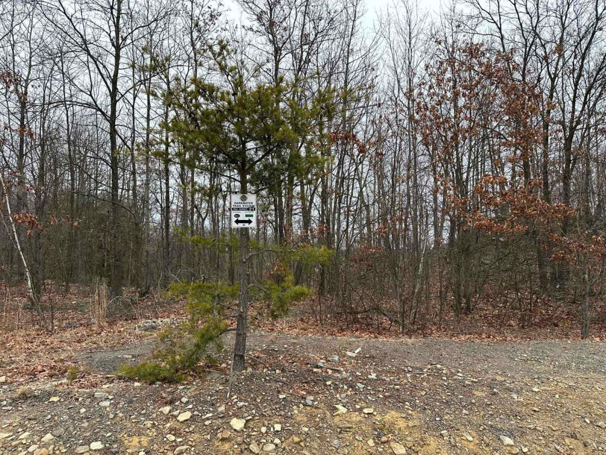 Darkwater 21 trail photo