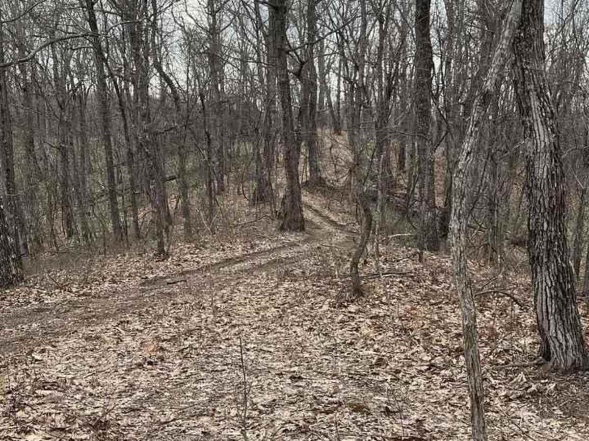 Trail 2 - High Ground photo 2