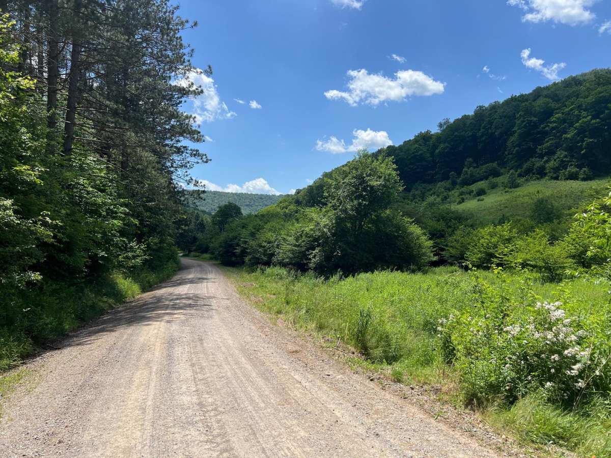 Thompson Hollow Road photo 3